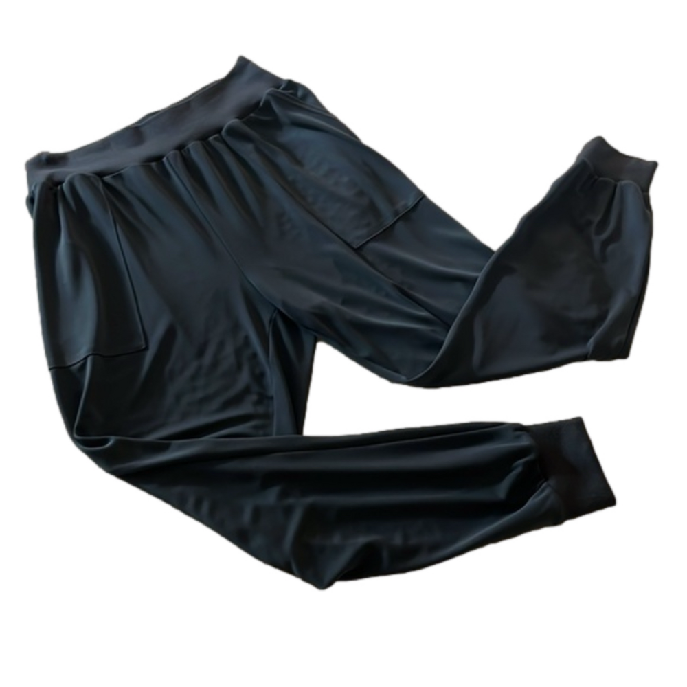 Cinq a sept Tous Les Jours Giles Satin Jogger Pants - Picture 1 of 6